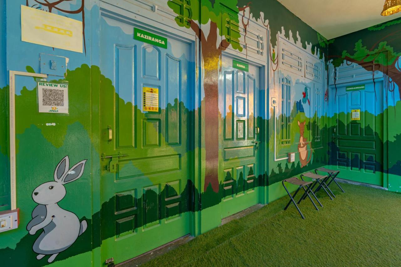 Jungle Hostel By Whoopers กาซอล ภายนอก รูปภาพ
