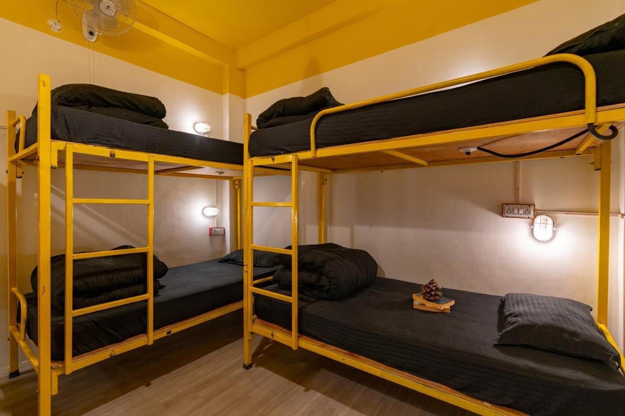 Jungle Hostel By Whoopers กาซอล ภายนอก รูปภาพ