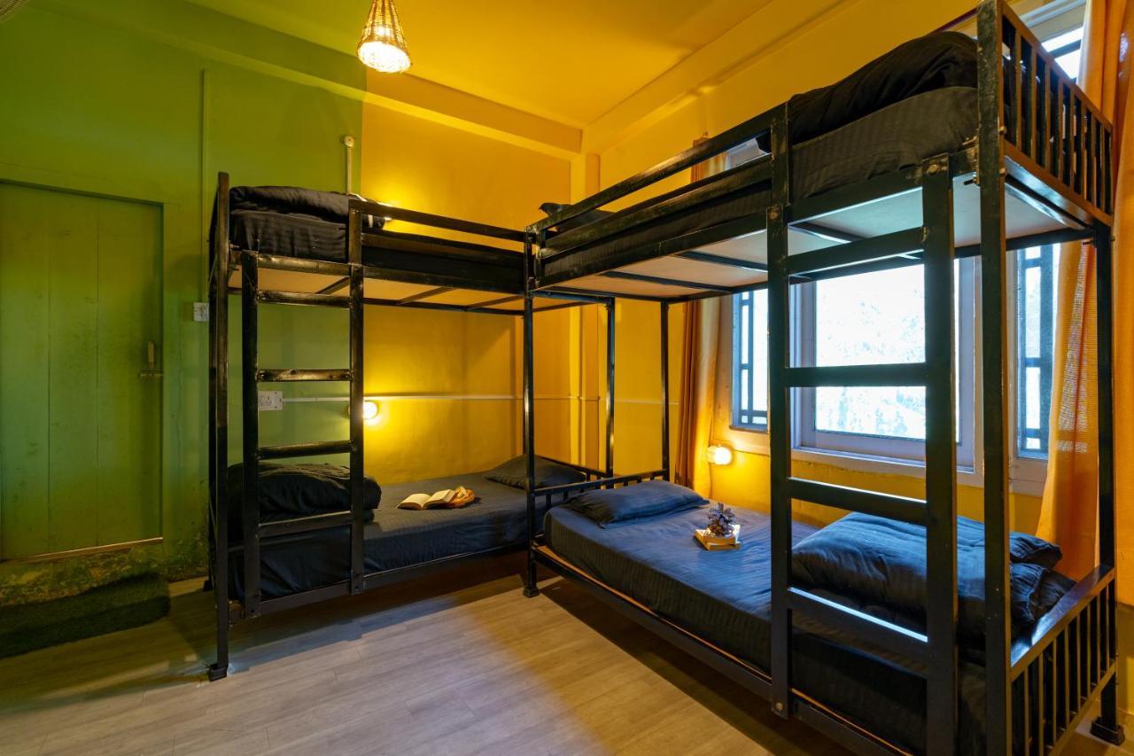 Jungle Hostel By Whoopers กาซอล ภายนอก รูปภาพ