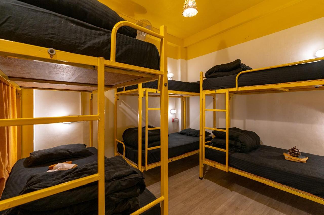 Jungle Hostel By Whoopers กาซอล ภายนอก รูปภาพ