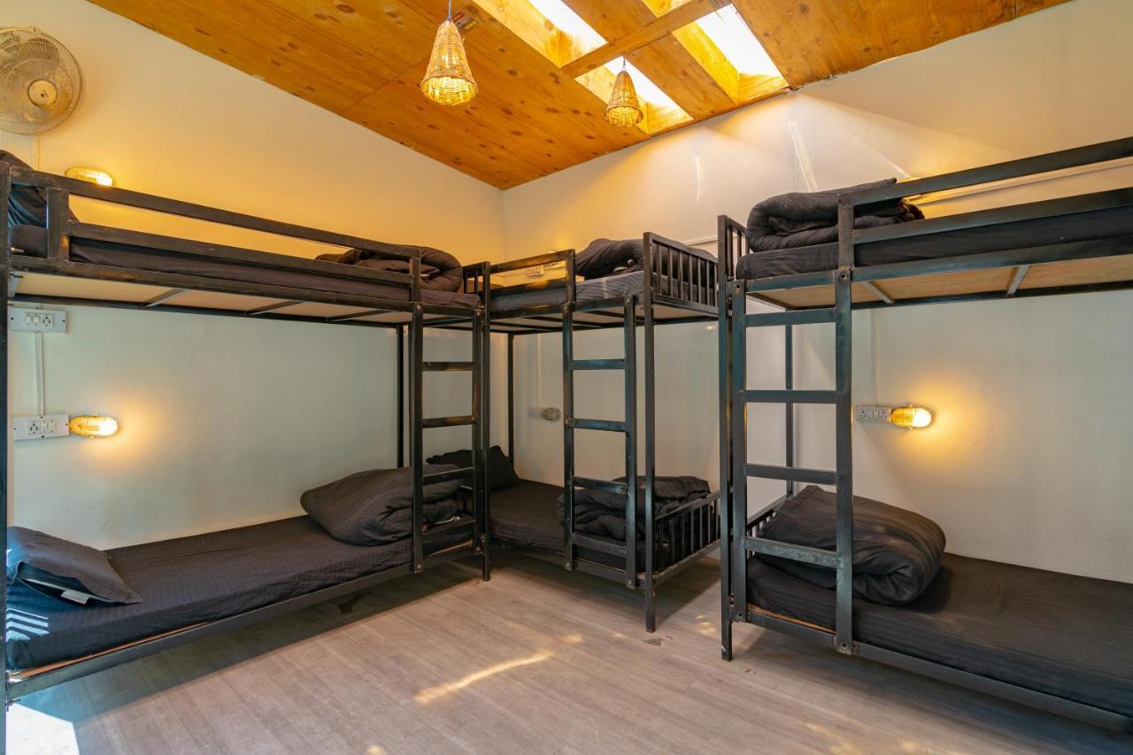 Jungle Hostel By Whoopers กาซอล ภายนอก รูปภาพ