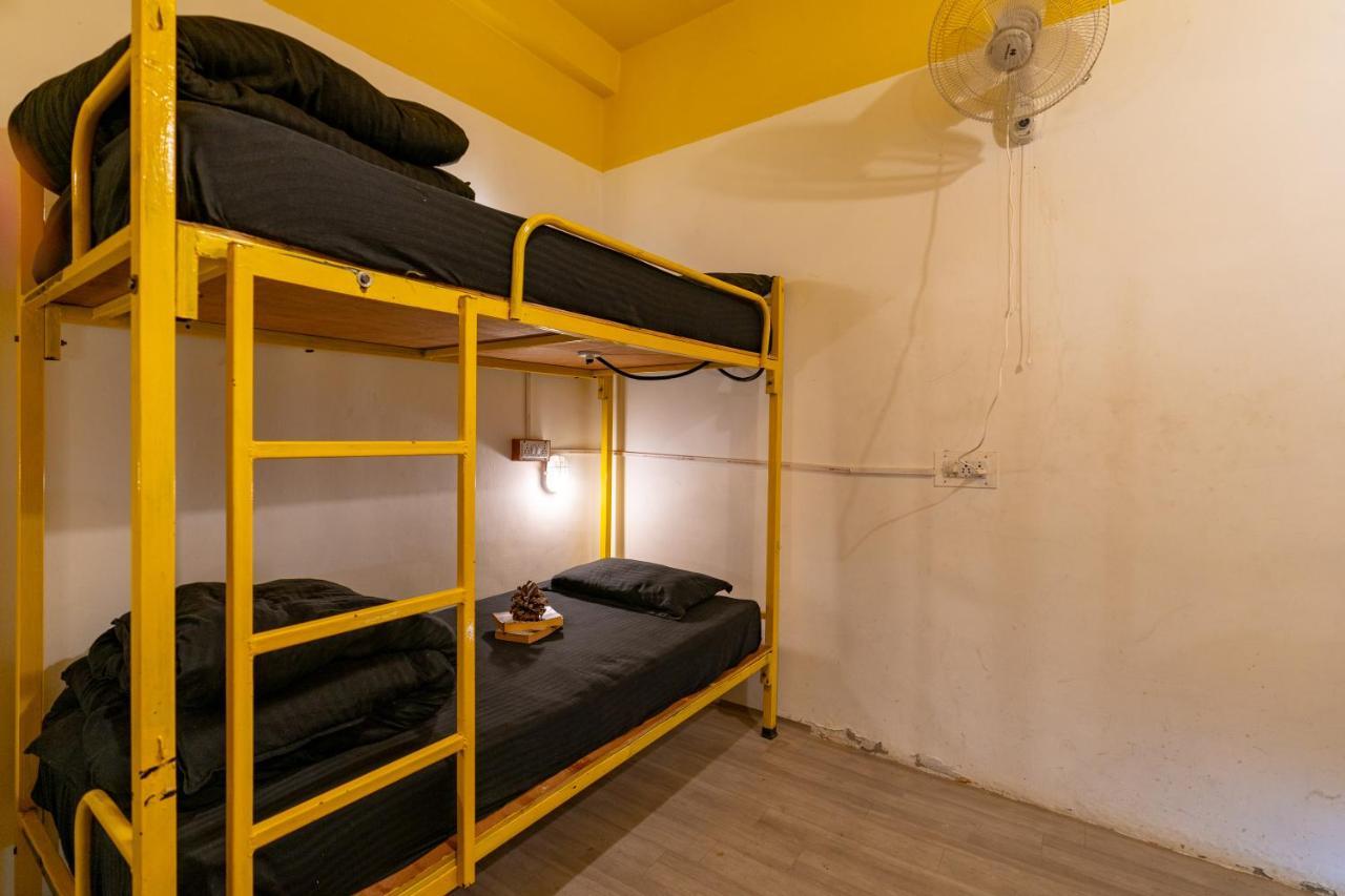Jungle Hostel By Whoopers กาซอล ภายนอก รูปภาพ